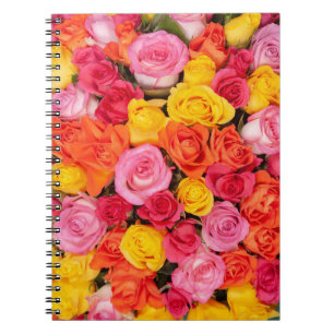 Carnet Motif de roses colorées vives Fond floral