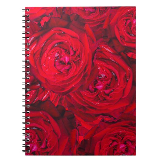 Carnet Motif de roses rouges profondes (Devant)