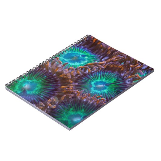 Carnet Motif de Zoanthid (Côté gauche)