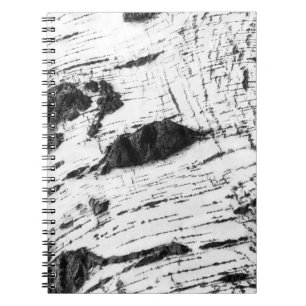 Carnet Motif d'écorce de bouleau