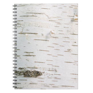 Carnet Motif d'écorce de bouleau