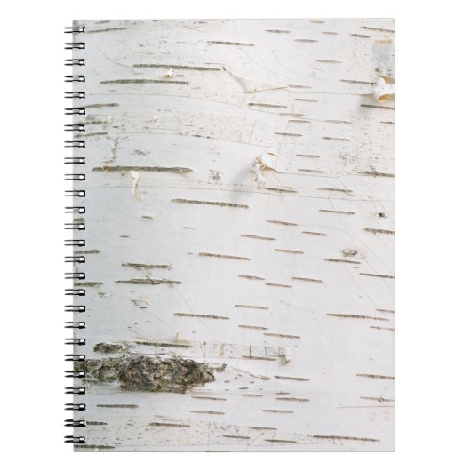 Carnet Motif d'écorce de bouleau (Devant)
