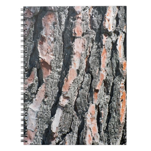 Carnet Motif d'écorce de pin (Devant)