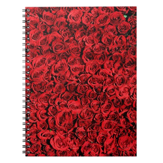 Carnet Motif des fleurs de rose rouge (Devant)
