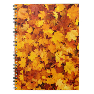 Carnet Motif Feuille d'Érable-25877