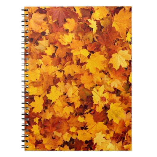Carnet Motif Feuille d'Érable-25877 (Devant)