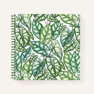 Carnet Motif Feuille vert tropical
