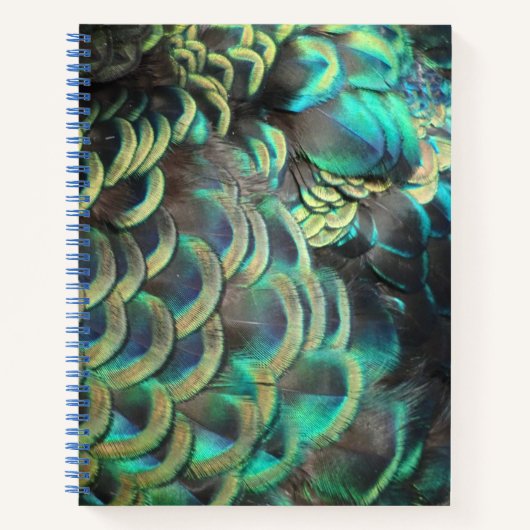 Carnet Motif indonésien Peacock Feathers (Devant)