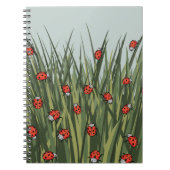 Carnet Motif ladybug (Devant)