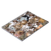 Carnet Motif Visages de chat (Côté gauche)