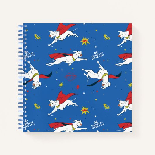 Carnet Motif volant Krypto (Devant)