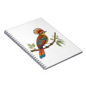 Carnet Moucherolle royal amazonien (Côté Droit)