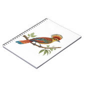 Carnet Moucherolle royal amazonien (Côté gauche)