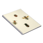 Carnet Mouches et coléoptères par Vision Studio (Côté Droit)