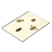 Carnet Mouches et coléoptères par Vision Studio (Côté gauche)