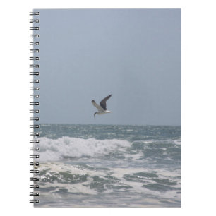 Carnet Mouette
