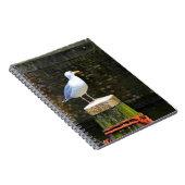 Carnet Mouette (Côté Droit)