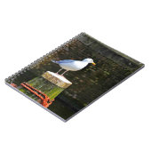 Carnet Mouette (Côté gauche)