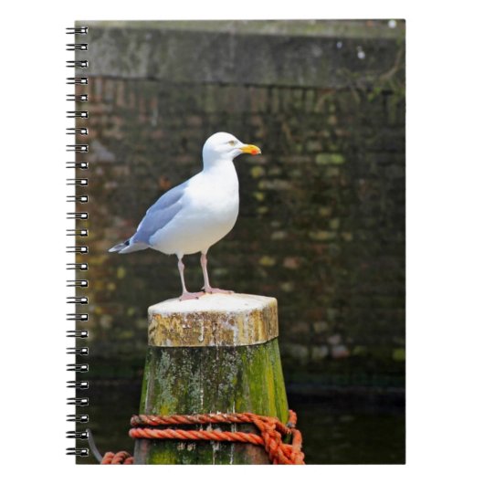 Carnet Mouette (Devant)