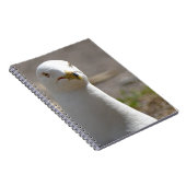 Carnet Mouette (Côté Droit)