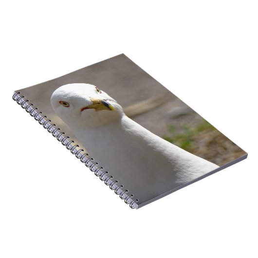 Carnet Mouette (Côté Droit)