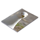 Carnet Mouette (Côté gauche)