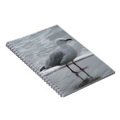 Carnet Mouette au bord de la mer (Côté Droit)