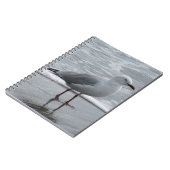 Carnet Mouette au bord de la mer (Côté gauche)