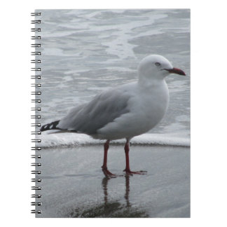 Carnet Mouette au bord de la mer