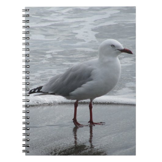 Carnet Mouette au bord de la mer (Devant)