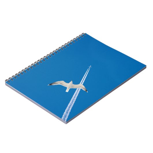 Carnet Mouette et avion (Côté gauche)