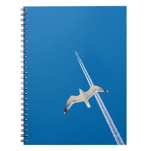 Carnet Mouette et avion (Devant)