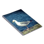 Carnet Mouette Sur La Baie (Côté Droit)