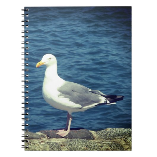 Carnet Mouette Sur La Baie (Devant)