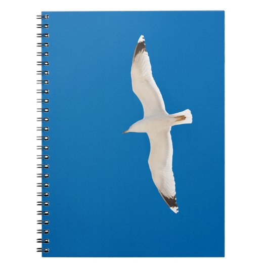 Carnet Mouette volante (Devant)