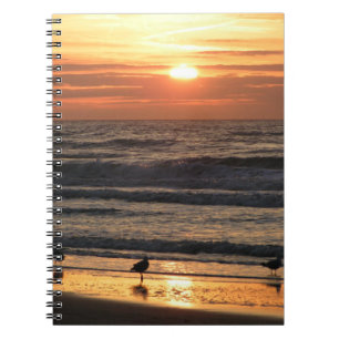 Carnet Mouettes au bord de la mer au coucher du soleil