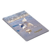 Carnet Mouettes de Coney Island (Côté Droit)