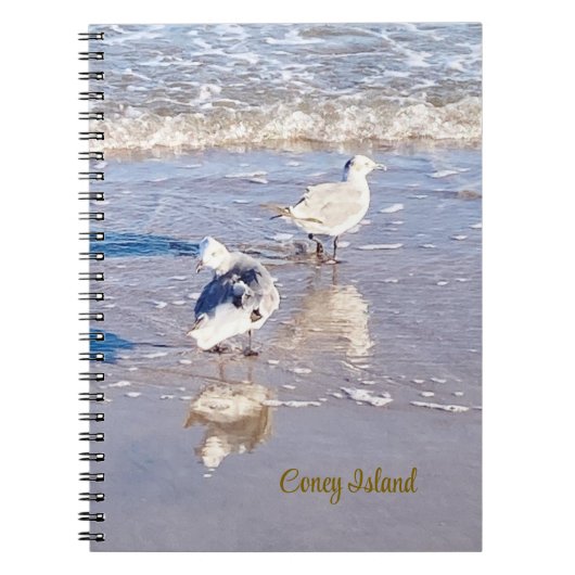 Carnet Mouettes de Coney Island (Devant)