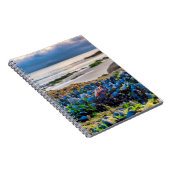 Carnet Moules (Côté Droit)