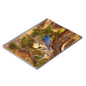 Carnet Mountain Bluebird at Arches National Park (Côté gauche)