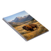 Carnet Mountain Landscape American Bison (Côté Droit)