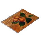 Carnet Mousse d'abricot (Côté gauche)