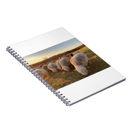 Carnet Mouton (Côté Droit)