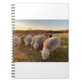 Carnet Mouton (Devant)