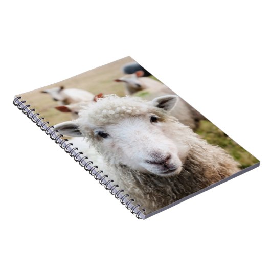 Carnet Mouton (Côté Droit)