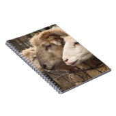 Carnet mouton (Côté Droit)