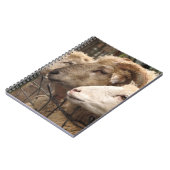 Carnet mouton (Côté gauche)