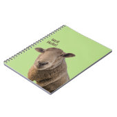 Carnet Mouton (Côté gauche)