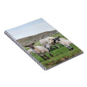 Carnet Mouton des Shetland (Côté Droit)