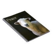Carnet Mouton pacifique (Côté Droit)